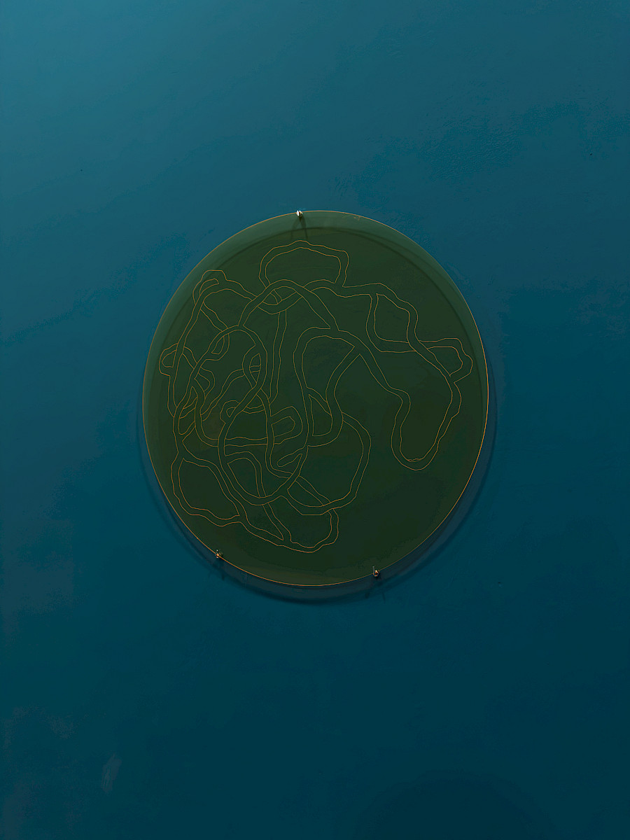 Permeable boundaries 3