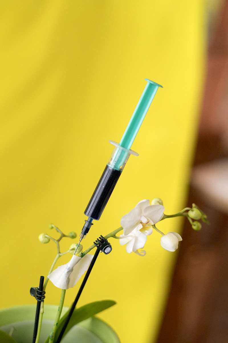 Nature and Circum&shy;stance 3