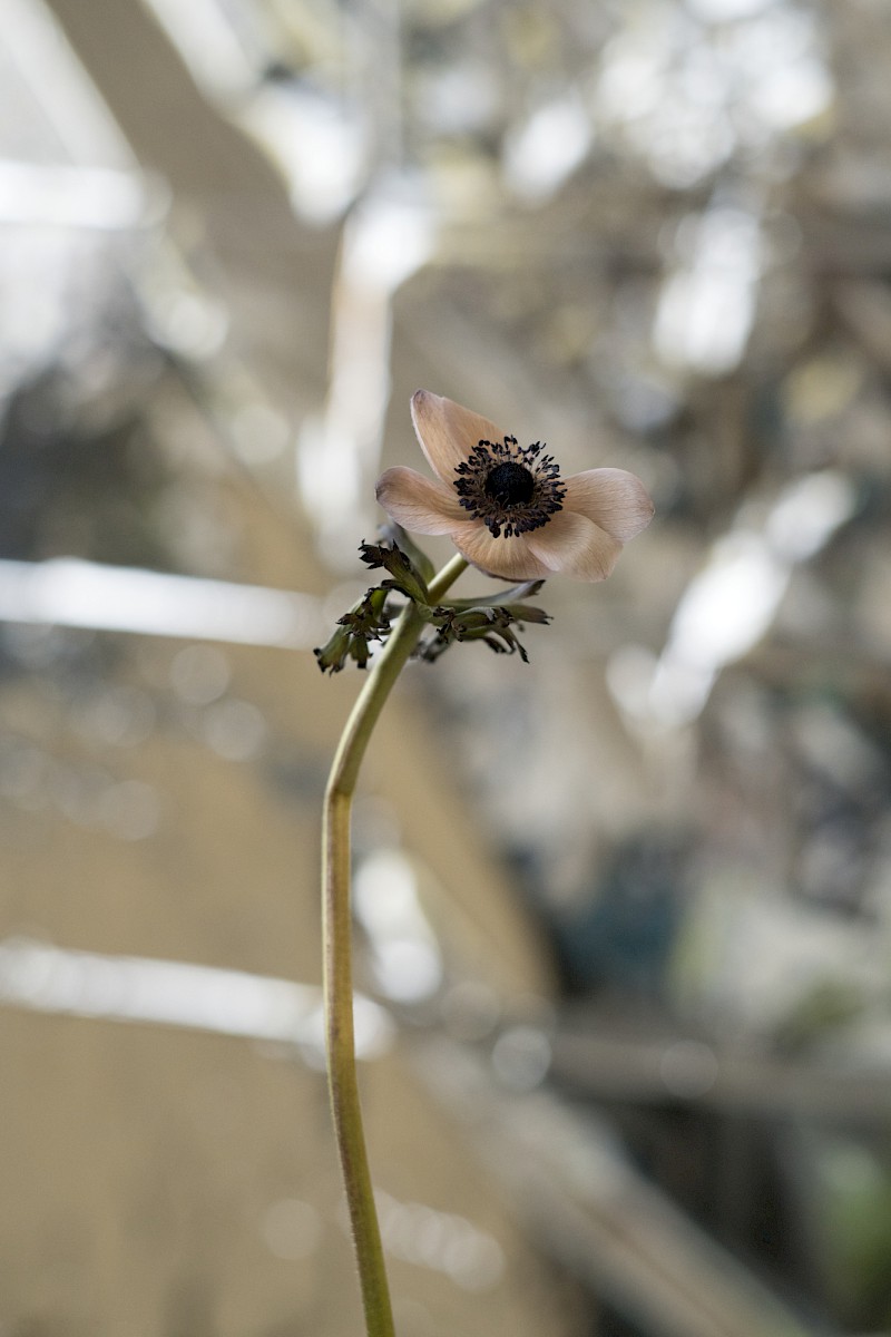 Nature and Circum&shy;stance 2