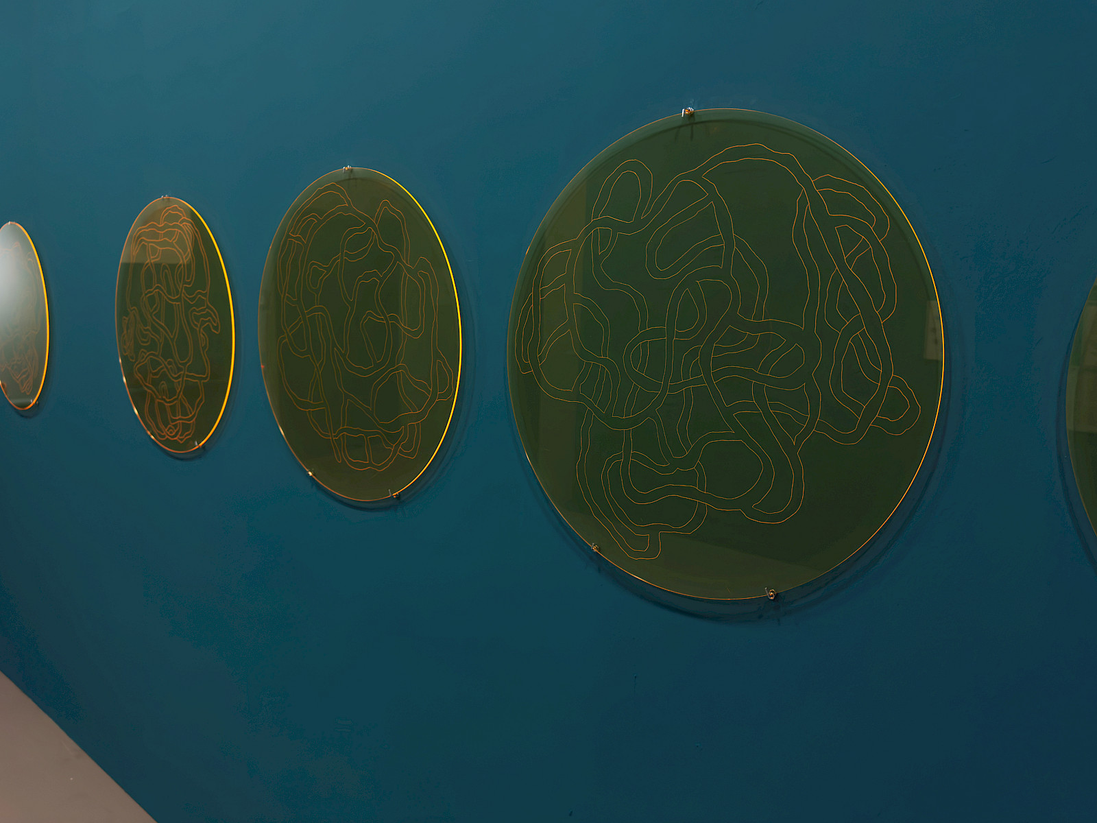 Permeable boundaries 1