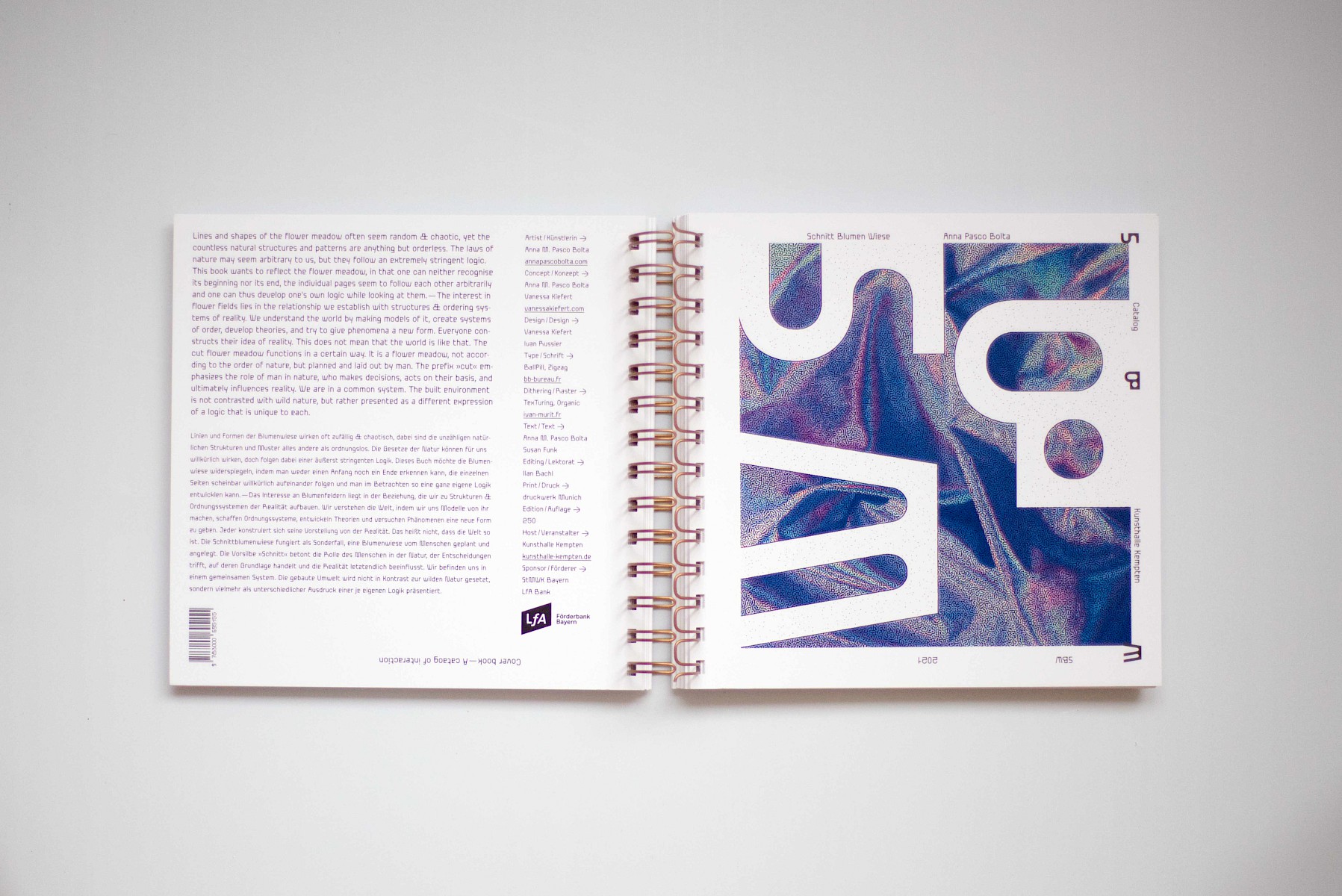 Schnitt&shy;blumen&shy;wiese 1