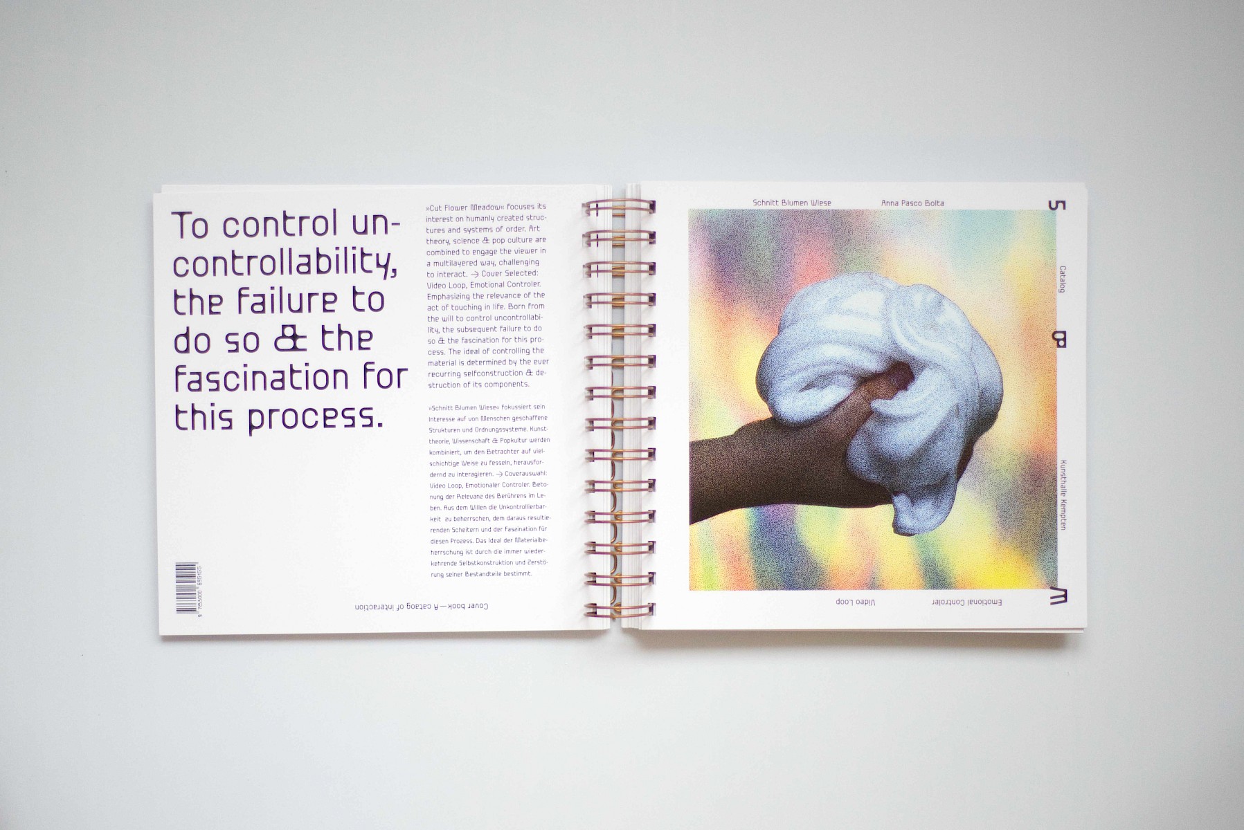 Schnitt&shy;blumen&shy;wiese 2