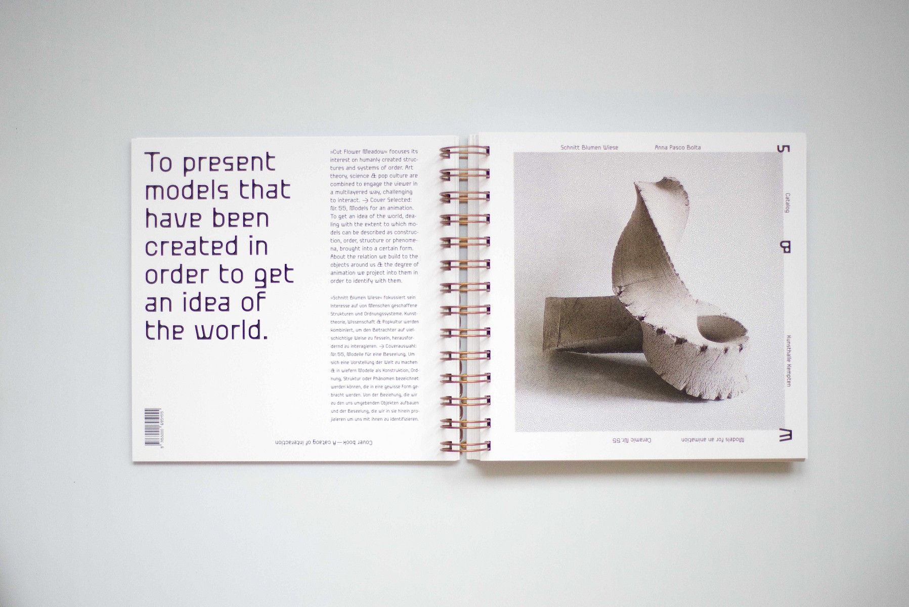 Schnitt&shy;blumen&shy;wiese 2