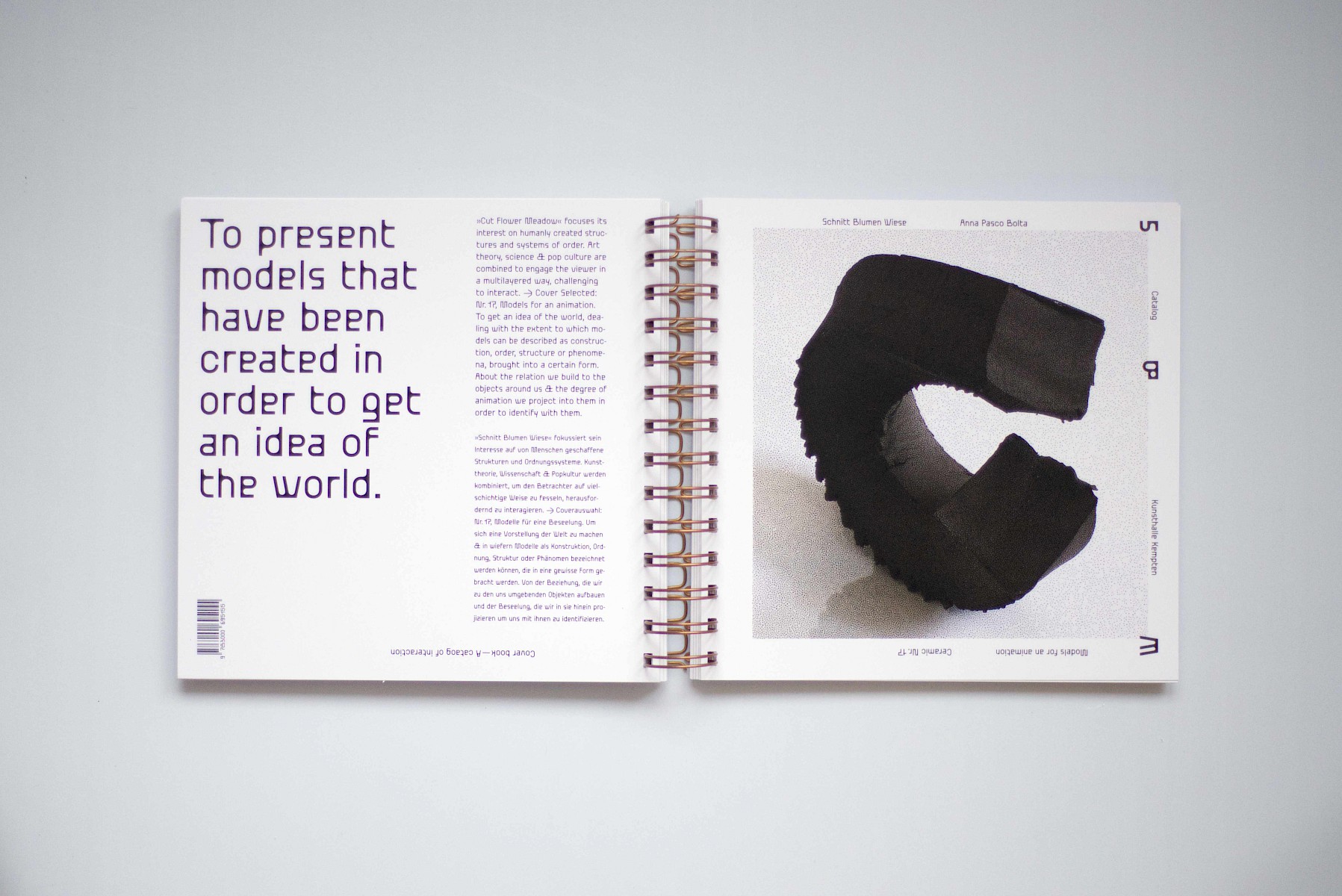 Schnitt&shy;blumen&shy;wiese 2