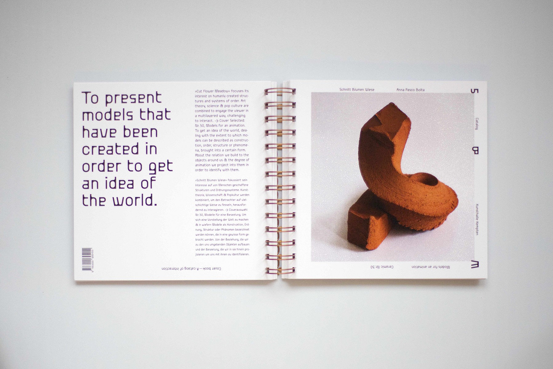 Schnitt&shy;blumen&shy;wiese 1