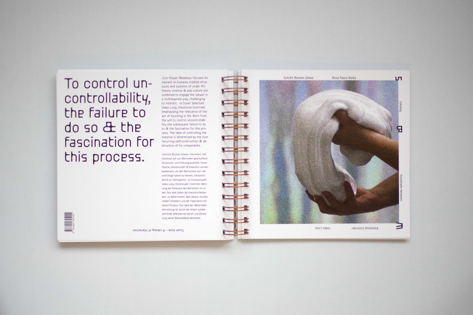 Schnitt&shy;blumen&shy;wiese 1