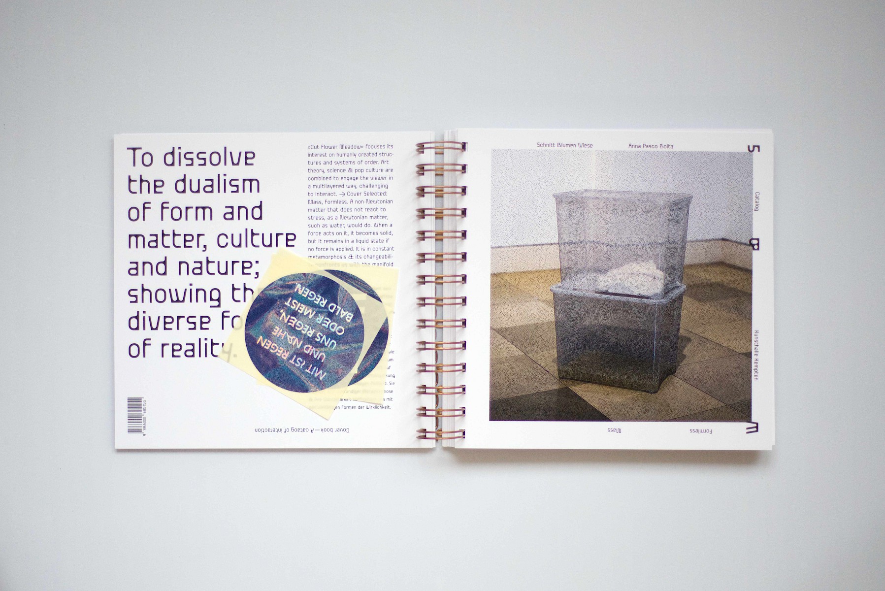 Schnitt&shy;blumen&shy;wiese 2