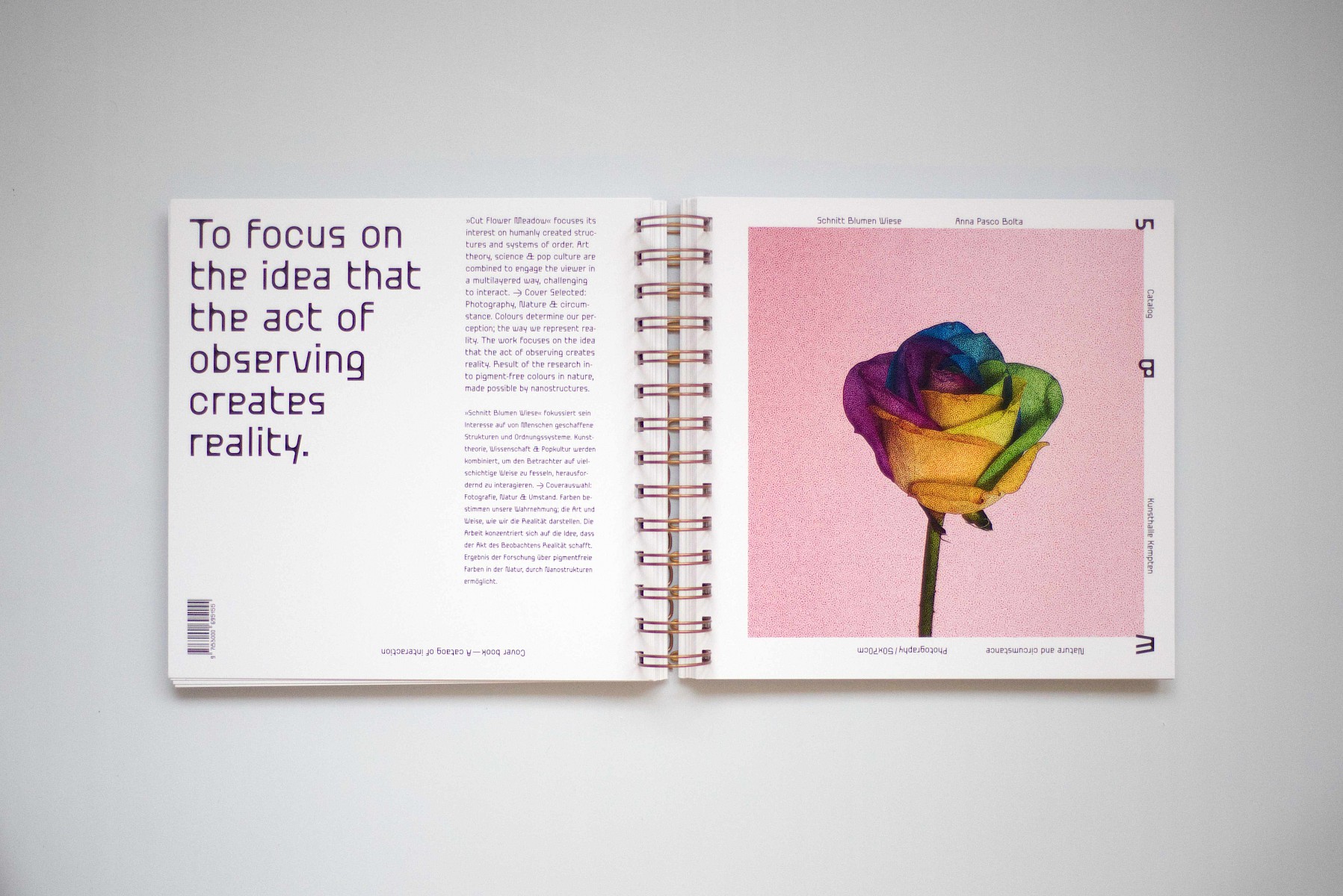 Schnitt&shy;blumen&shy;wiese 1