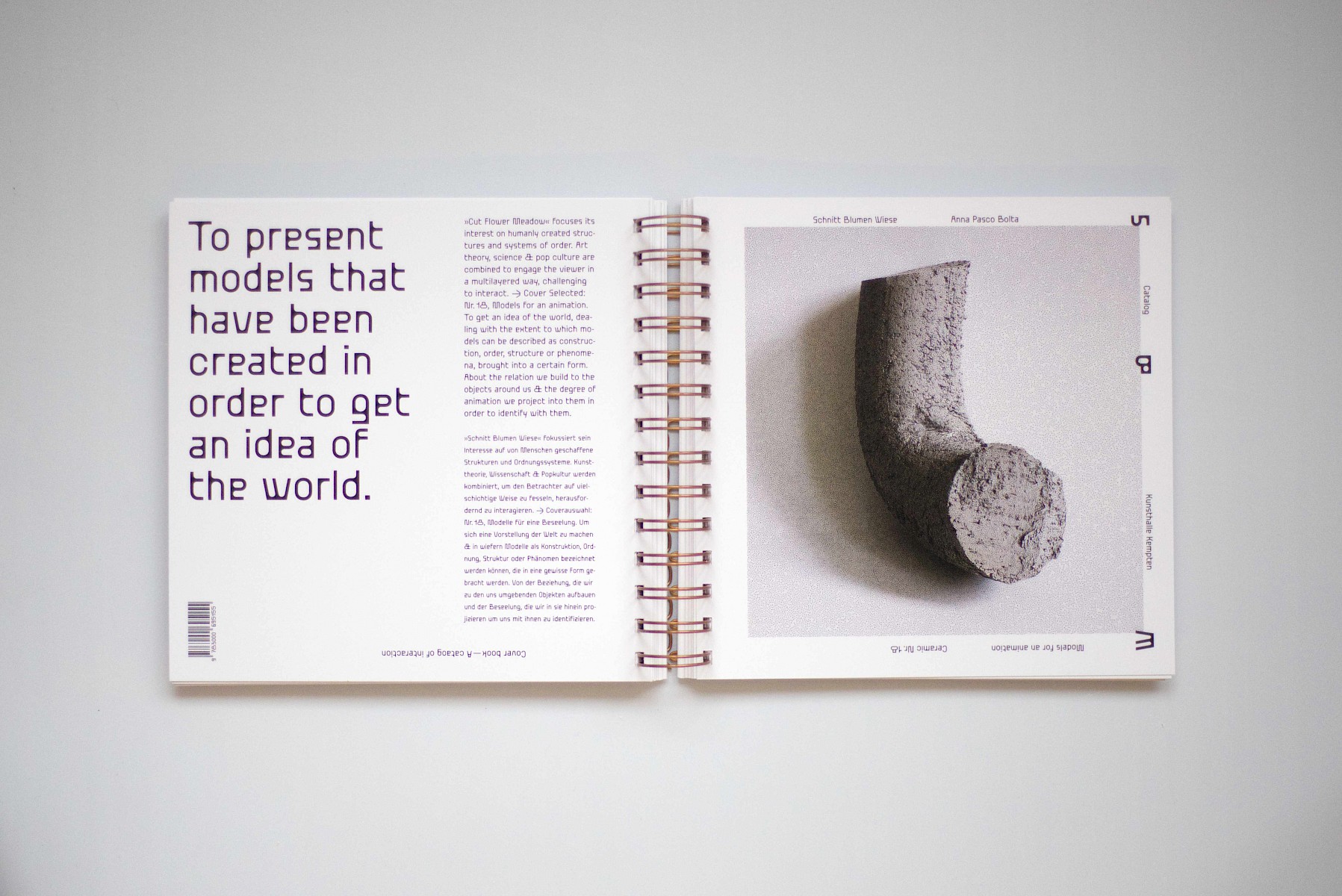 Schnitt&shy;blumen&shy;wiese 2