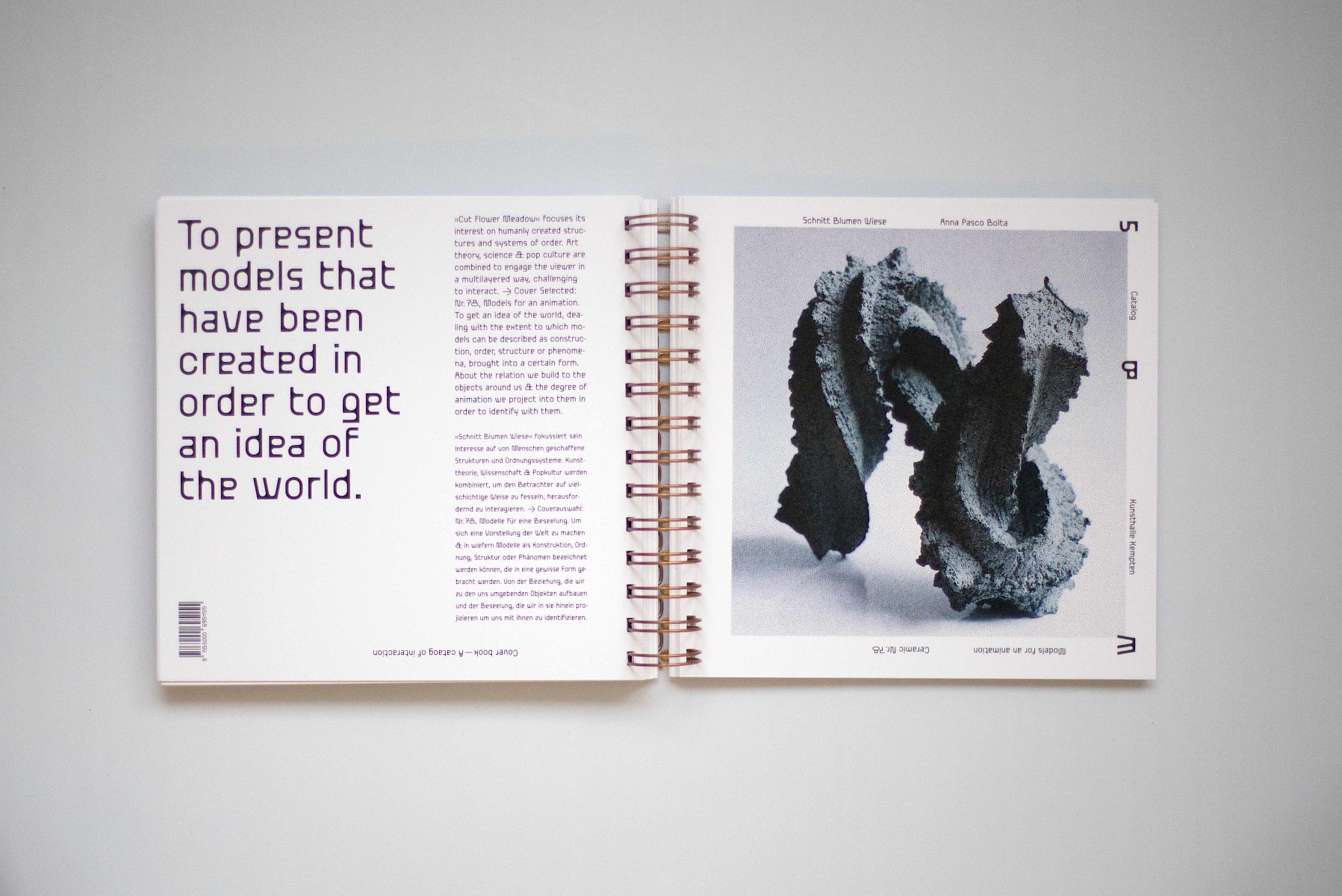 Schnitt&shy;blumen&shy;wiese 1