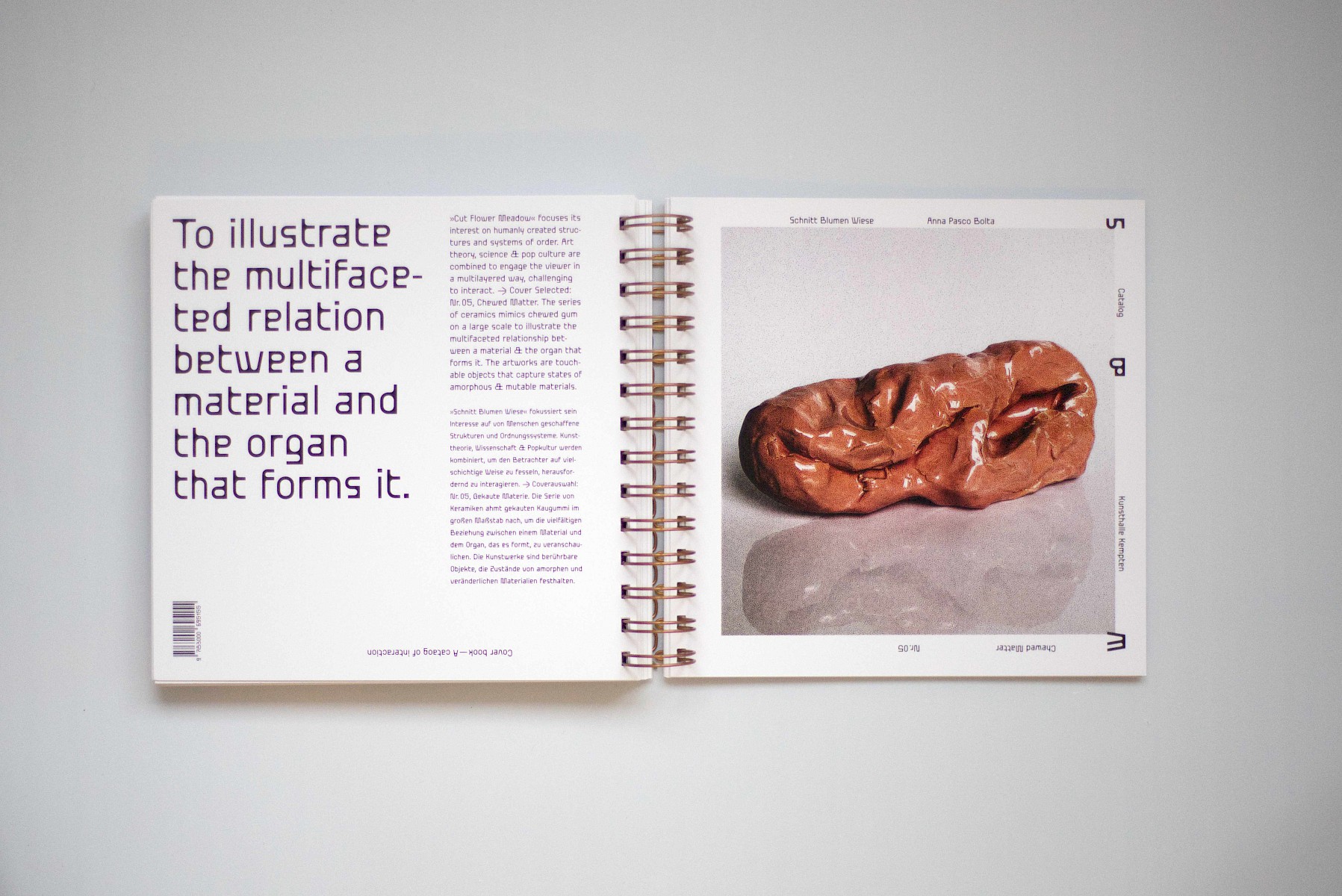 Schnitt&shy;blumen&shy;wiese 2