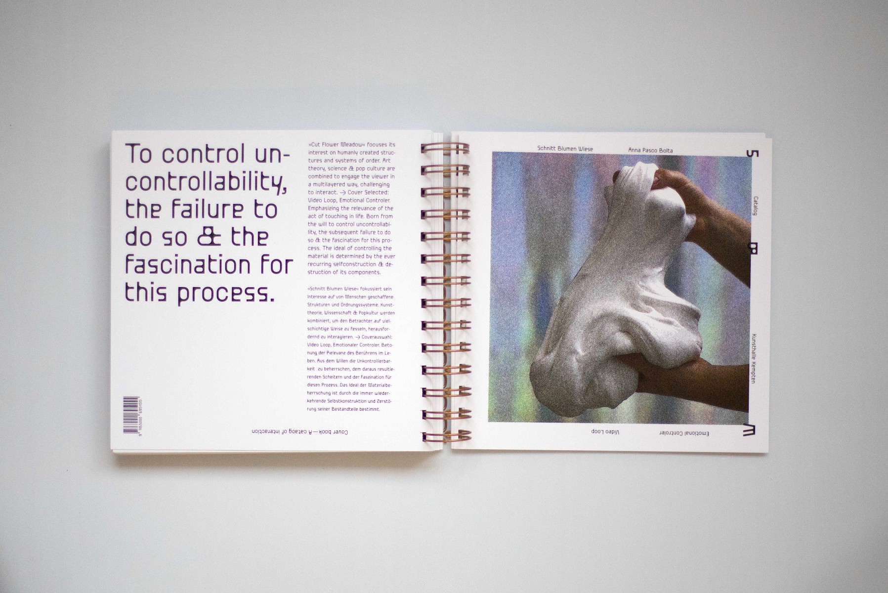 Schnitt&shy;blumen&shy;wiese 2