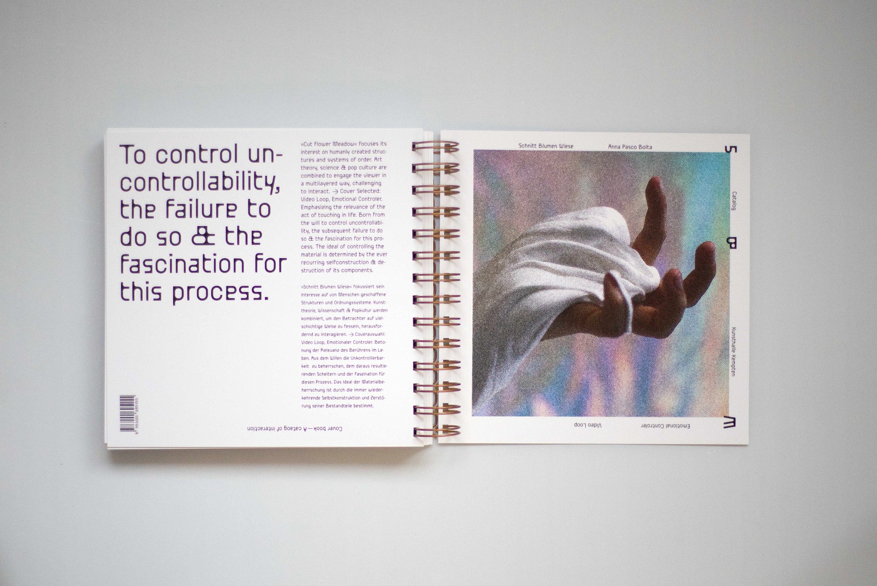 Schnitt&shy;blumen&shy;wiese 1