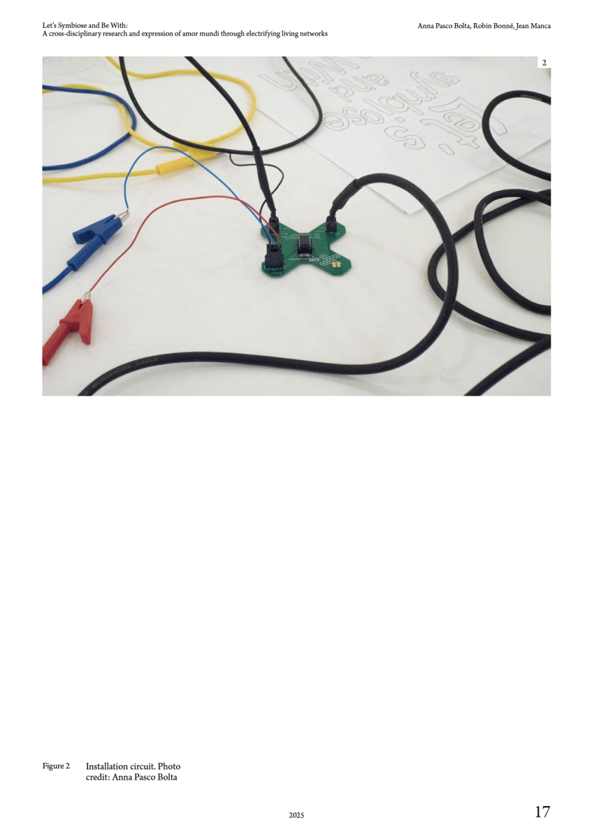 Let's Symbiose and Be With 2