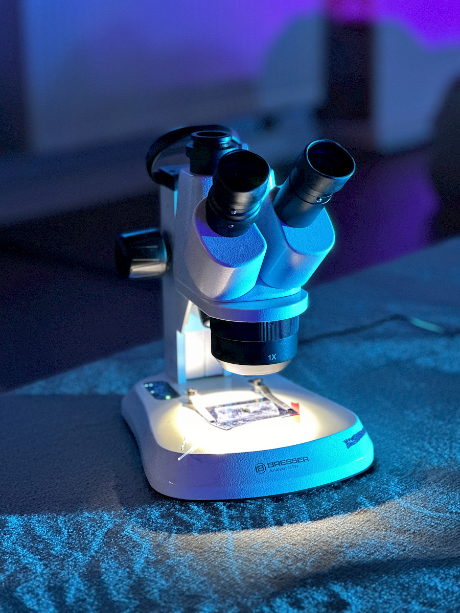 Let's Symbiose and Be With 1